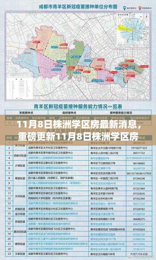 揭秘最新动态,株洲学区房最新消息与教育地产趋势展望