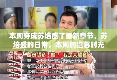 本周苏培盛的日常，温馨时光与友情纽带最新章节发布