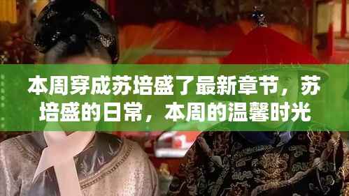 本周苏培盛的日常,温馨时光与友情纽带最新章节发布