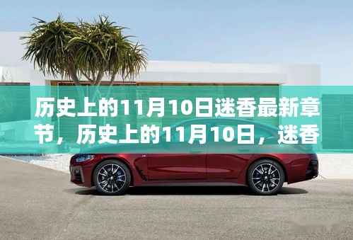 历史上的11月10日迷香揭秘，最新章节一览