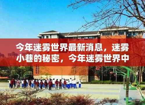 揭秘迷雾世界,迷雾小巷的秘密与今年隐藏瑰宝新发现