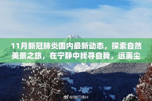 11月新冠肺炎国内最新动态,探索自然美景,宁静中找寻自我,迎接抗疫新篇章的旅行体验