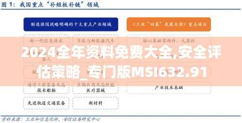 2024全年资料免费大全,安全评估策略_专门版MSI632.91