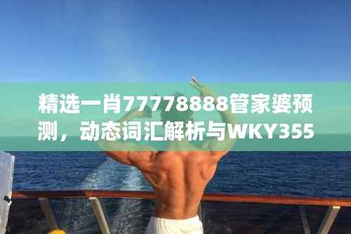精选一肖77778888管家婆预测,动态词汇解析与WKY355.25改制版解读