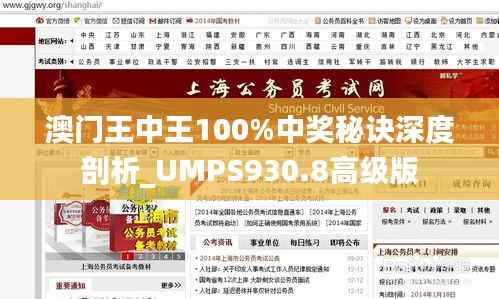 澳门王中王100%中奖秘诀深度剖析_UMPS930.8高级版