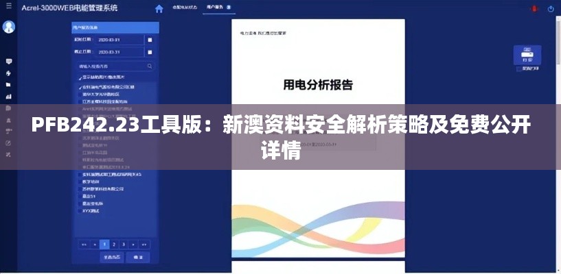 PFB242.23工具版:新澳资料安全解析策略及免费公开详情
