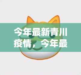 今年最新青川疫情全面解析与应对策略,全面关注,科学防控