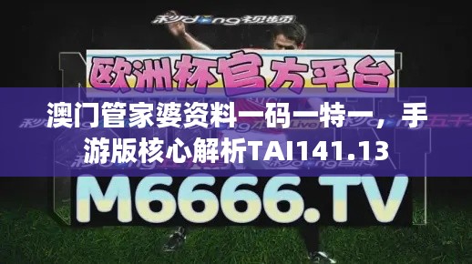 澳门管家婆资料一码一特一,手游版核心解析TAI141.13