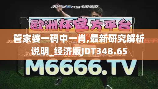 管家婆一码中一肖,最新研究解析说明_经济版JDT348.65