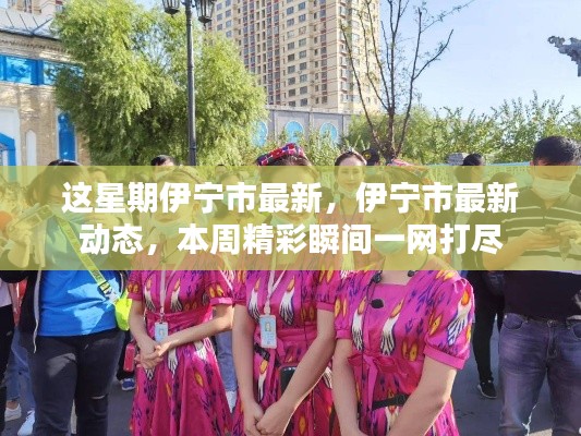 本周伊宁市最新动态全景呈现,精彩瞬间一网打尽