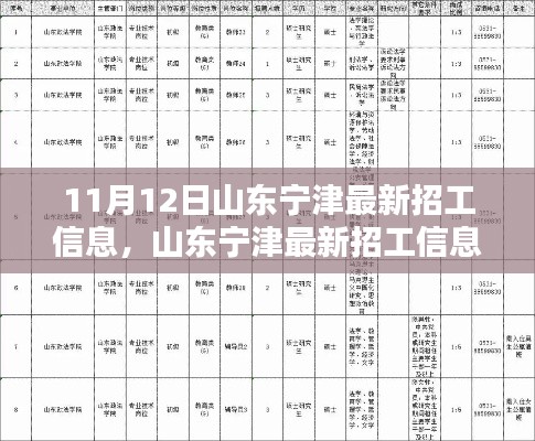 山东宁津最新招工信息,就业机遇与挑战揭秘