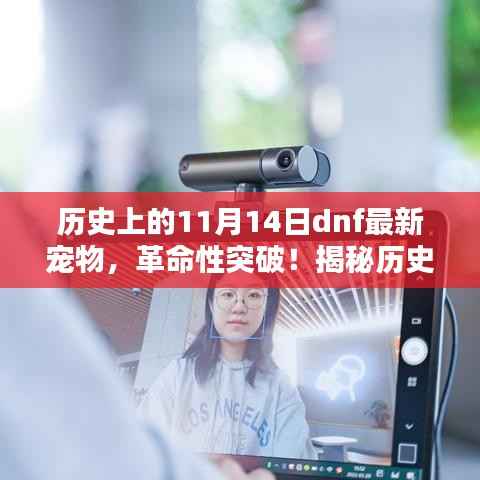 联系我们 第204页