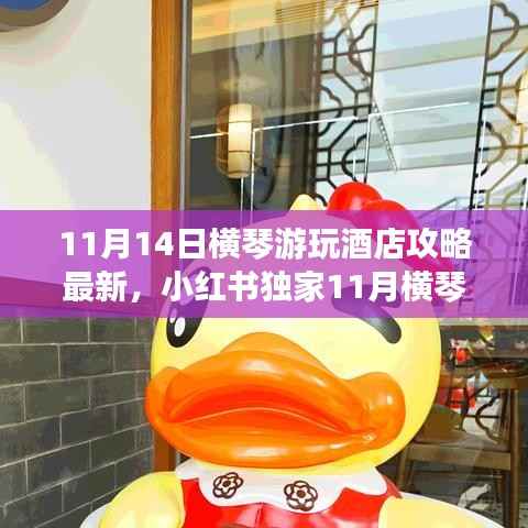 11月横琴游玩酒店最新攻略,小红书独家指南,畅游无忧住宿体验