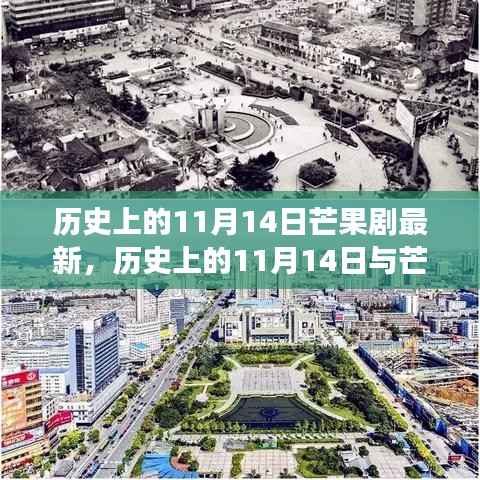 历史上的11月14日,芒果剧最新动态及其背后的价值变迁探究