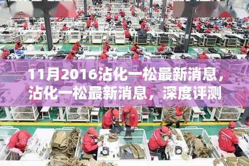 沾化一松深度评测与介绍文章,最新消息回顾