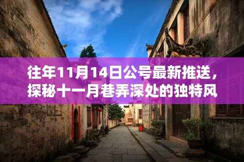 揭秘十一月巷弄深处的隐藏特色小店,独特风味揭晓日