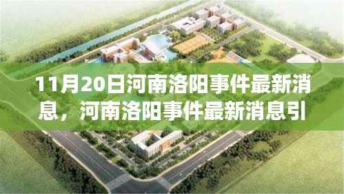河南洛阳事件最新动态及多方热议,深度解读与某某观点探讨