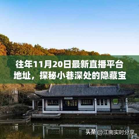 探秘小巷深处的宝藏，十一月二十日最新直播平台独特魅力之旅的地址分享