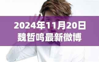 魏哲鸣最新微博动态,揭秘新照亮相背后的故事与用户体验分析