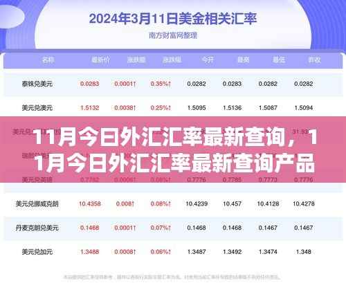 11月今日外汇汇率最新查询及全面评测与介绍