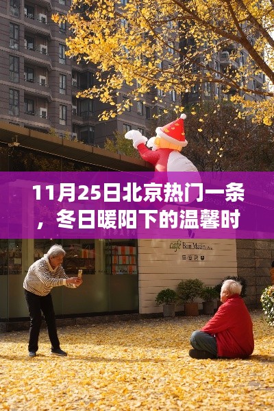 冬日暖阳下的北京一条日常故事,温馨时光回顾