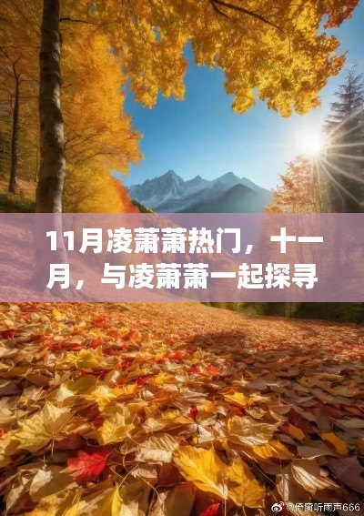 十一月心灵之旅,与凌萧萧共探自然秘境