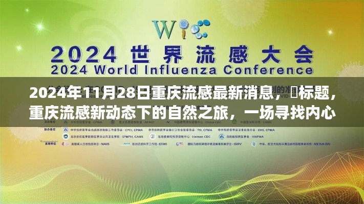 重庆流感新动态下的探索之旅,内心平静的冒险(2024年11月28日最新消息)
