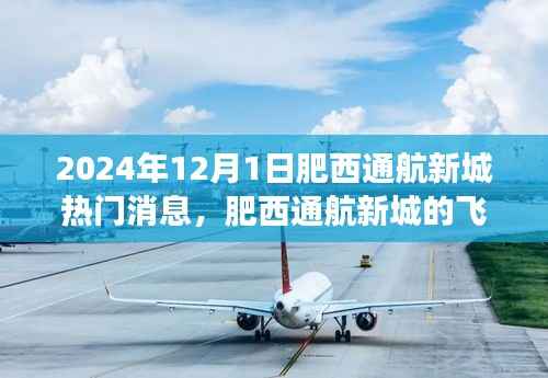 肥西通航新城,飞行梦与温馨日常的热门消息揭秘(2024年12月1日)