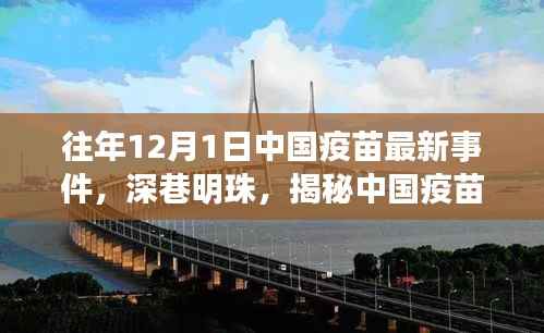 揭秘中国疫苗最新进展,深巷明珠疫苗小店的独特故事,历年12月1日最新事件回顾