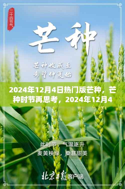 建议,芒种时节再思考,2024年热门版芒种的深层意义与影响