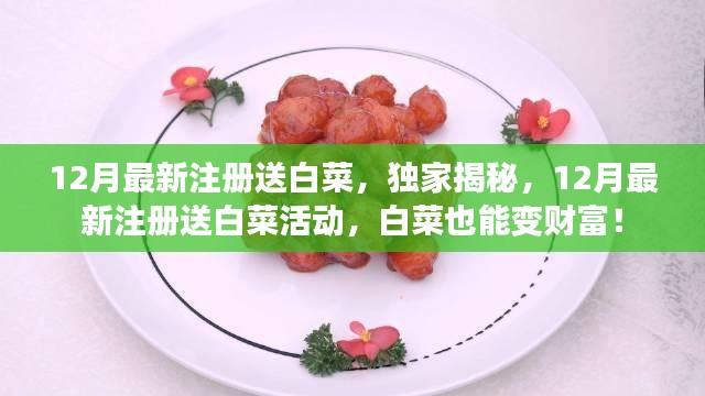 独家揭秘,12月最新注册送白菜活动,白菜也能变财富狂欢!