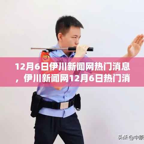 伊川新闻网12月6日热门消息阅读指南,掌握新闻阅读技能与步骤