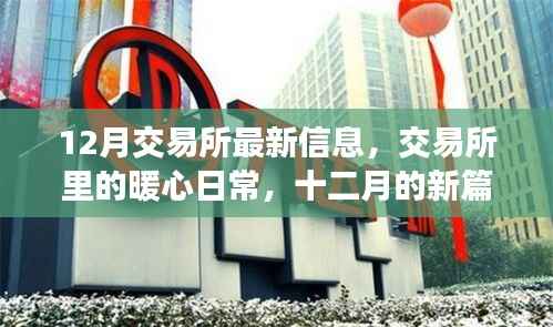 交易所暖心日常,十二月新篇章开启