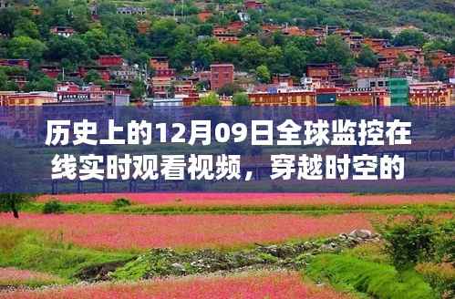 laoyanfenfei 第4页