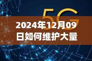 2024年实时连接维护策略,应对大规模连接的挑战与解决方案