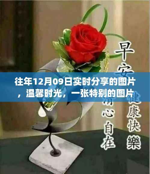 温馨时光背后的故事,特别图片分享与故事揭秘