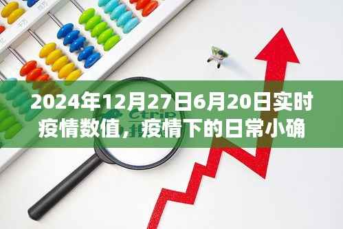 温馨日常中的小确幸,疫情下的陪伴故事与实时疫情数值报告(2024年6月20日至12月27日)