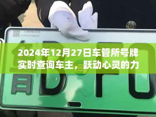 跃动心灵的力量,未来车管之路的实时查询与驾驭学习变化