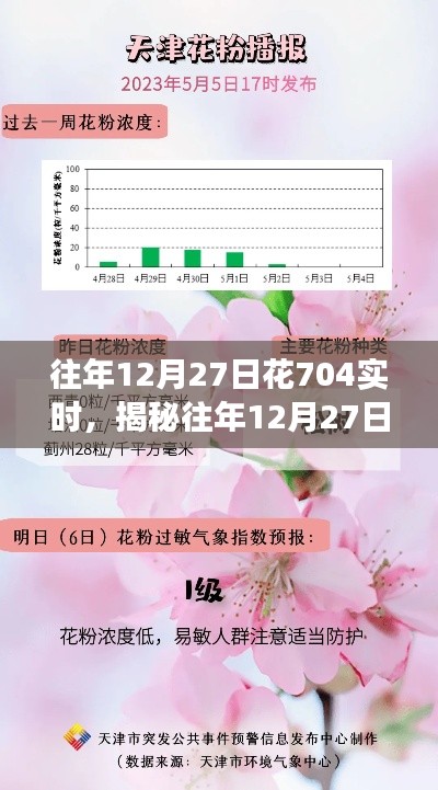 揭秘与深度解析,往年12月27日花704实时现象探讨