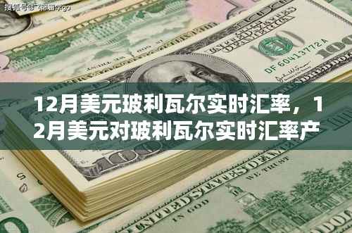 12月美元对玻利瓦尔实时汇率详解,产品与评测一网打尽