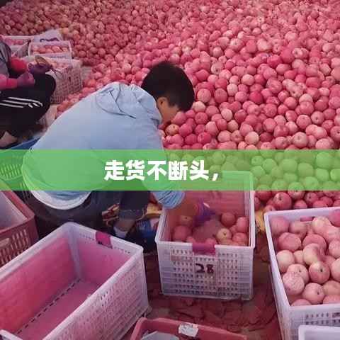 员工入口 第105页