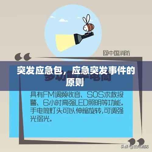 突发应急包,应急突发事件的原则