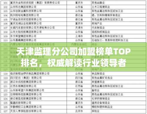 天津监理分公司加盟榜单TOP排名,权威解读行业领导者