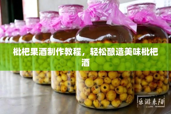 枇杷果酒制作教程,轻松酿造美味枇杷酒