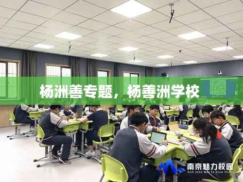 杨洲善专题,杨善洲学校