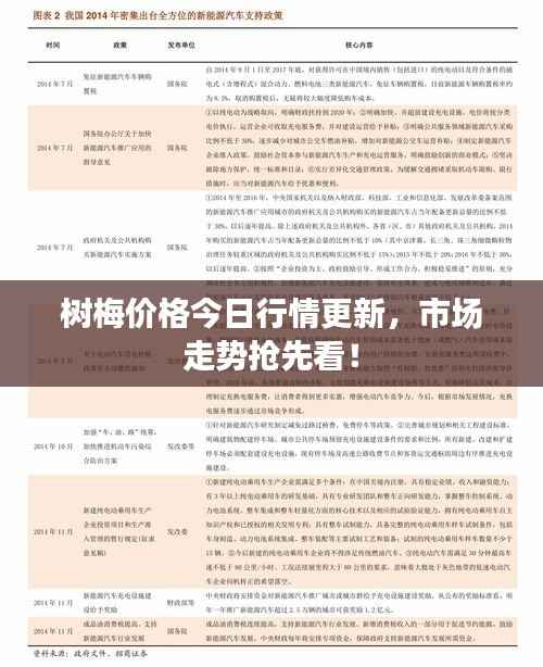 树梅价格今日行情更新,市场走势抢先看!