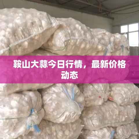 招标采购 第101页