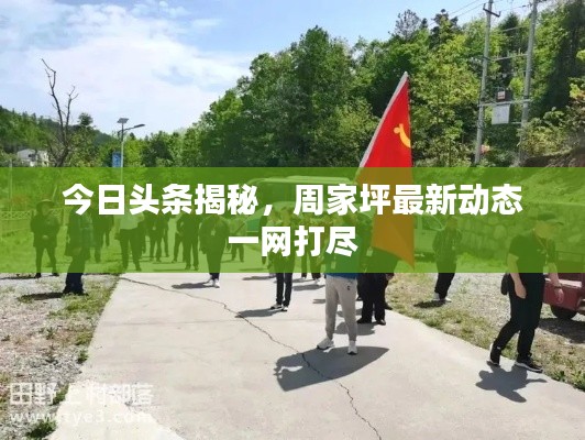 今日头条揭秘,周家坪最新动态一网打尽