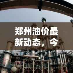 郑州油价最新动态,今日油价表全览
