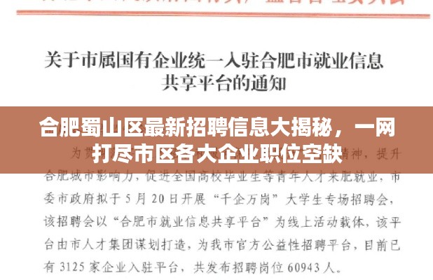 合肥蜀山区最新招聘信息大揭秘,一网打尽市区各大企业职位空缺